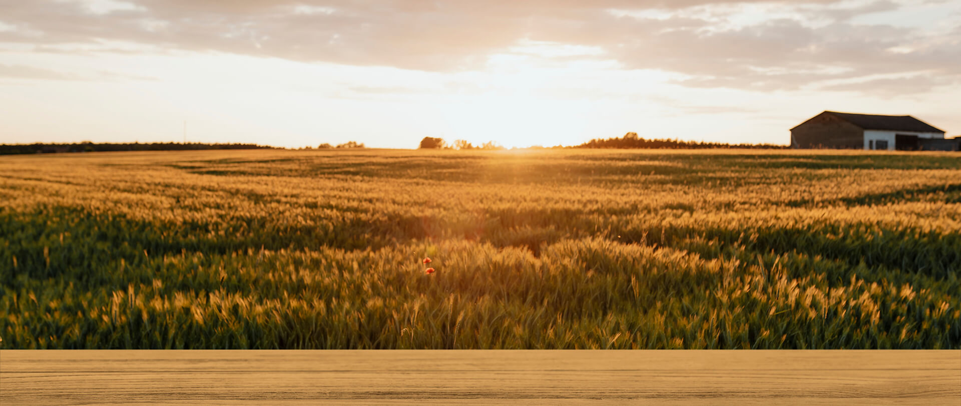 Doğal Lezzet, Sağlıklı Yaşam